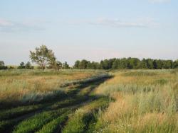 post-3072-0-29780200-1374247186_thumb.jp