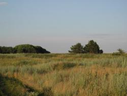 post-3072-0-37653800-1374247255_thumb.jp