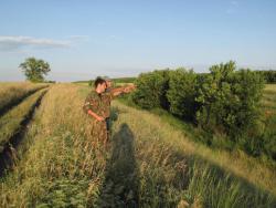 post-3072-0-77372600-1374246319_thumb.jp