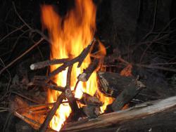 post-3072-0-77809500-1374247766_thumb.jp