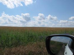 post-3072-0-84295700-1374242991_thumb.jp