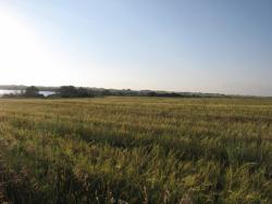 post-3072-0-96432300-1374247266_thumb.jp