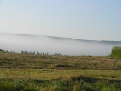 post-3295-0-13250100-1374326635_thumb.jp