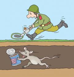 post-3939-0-05437200-1373467999_thumb.jp