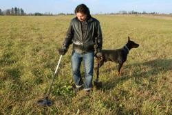 post-3939-0-15114300-1373468053_thumb.jp