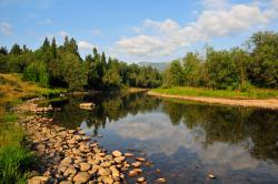 post-3939-0-36469400-1373516224_thumb.jp