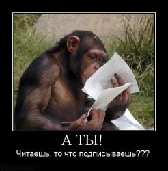 post-3939-0-56344900-1374769255_thumb.jp