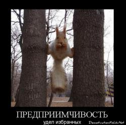 post-4114-0-43224600-1373529647_thumb.jp