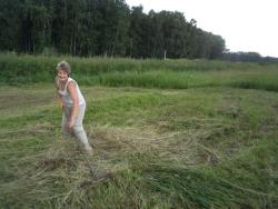 post-4485-0-47631900-1374492565_thumb.jp