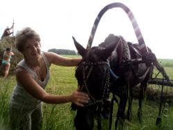 post-4485-0-56092600-1374492222_thumb.jp