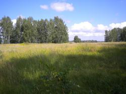 post-4632-0-65984800-1375098431_thumb.jp