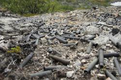 post-4770-0-30650600-1374823309_thumb.jp