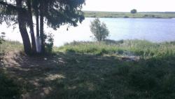 post-4840-0-95030500-1372671149_thumb.jp