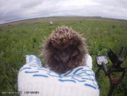 post-5088-0-31590800-1375091816_thumb.jp