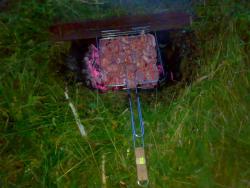 post-6685-0-29991100-1375094582_thumb.jp