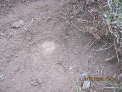 post-6685-0-63406600-1374894918_thumb.jp