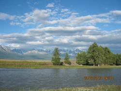 post-6685-0-74444300-1374894603_thumb.jp