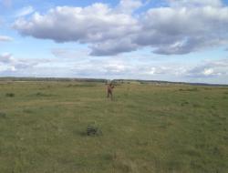 post-7121-0-81573500-1373989101_thumb.jp