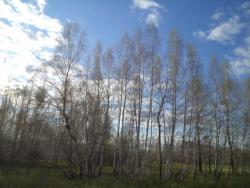 post-7121-0-85123600-1373990434_thumb.jp