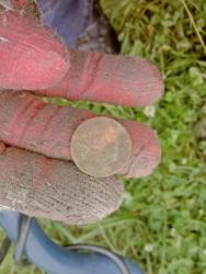 post-8327-0-13473000-1372947870_thumb.jp