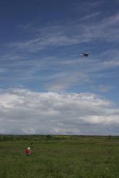 post-8327-0-15630300-1372948254_thumb.jp