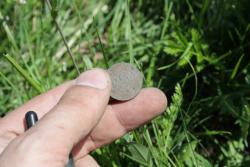 post-8327-0-58481600-1372948181_thumb.jp