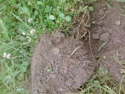 post-8327-0-74803600-1372947862_thumb.jp