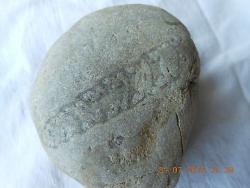 post-8716-0-27053400-1375296062_thumb.jp