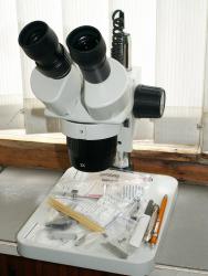 post-8942-0-12462300-1373104477_thumb.jp