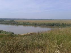 post-9966-0-13860900-1373525995_thumb.jp