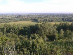 post-9966-0-16227000-1373525816_thumb.jp