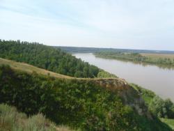 post-9966-0-23548800-1373526595_thumb.jp