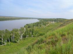 post-9966-0-25424700-1373526607_thumb.jp