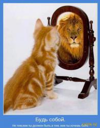 post-9966-0-29543000-1373530918_thumb.jp