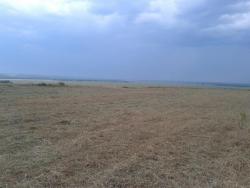 post-9966-0-31116800-1373526121_thumb.jp