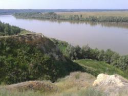 post-9966-0-58428300-1373526051_thumb.jp