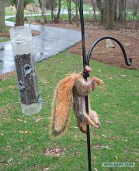 post-9966-0-61504100-1373527984_thumb.jp