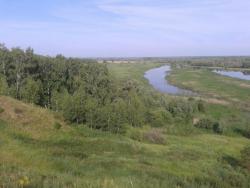 post-9966-0-68449000-1373525943_thumb.jp