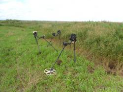 post-9966-0-74764300-1374465109_thumb.jp