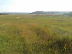 post-9966-0-78521700-1373525787_thumb.jp