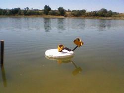 post-10542-0-68117300-1405070663_thumb.j