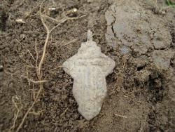 post-12373-0-32023900-1404816509_thumb.j