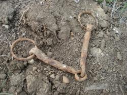 post-12373-0-43448400-1404816142_thumb.j