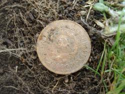 post-12373-0-80708600-1404816381_thumb.j