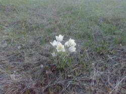 post-14670-0-21010100-1405345375_thumb.j