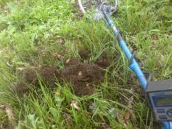 post-14670-0-82748100-1405344060_thumb.j