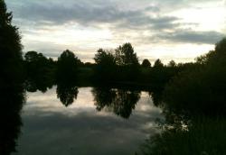 post-23552-0-37717200-1405614011_thumb.j