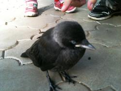 post-23552-0-92179200-1406187816_thumb.j