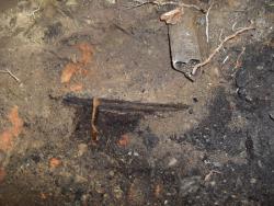 post-26744-0-26171700-1405545375_thumb.j