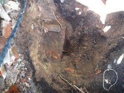 post-26744-0-41004800-1405545304_thumb.j